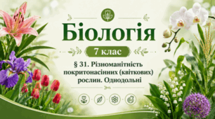 Різноманітність покритонасінних (квіткових) рослин. Однодольні. 7 клас НУШ