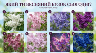 Презентація до уроку української мови "Повторення. Самостійні частини мови: числівник, займенник"