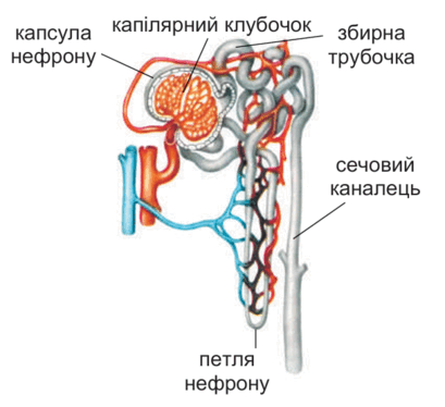 0901y12t-fdef-409x374.png