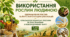 Матеріали до уроку. 🌾🌍🌿 Використання рослин людиною. Одомашнення рослин та його значення для цивілізацій. Сільськогосподарські рослини та їхнє значення в повсякденному житті. 7 кл НУШ Відеподкаст, презентація, інфографіка