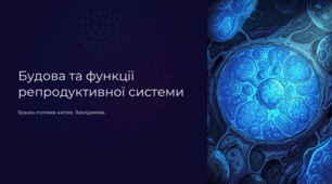 Будова та функції репродуктивної системи. Біологія. 8 клас. НУШ