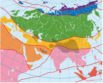 0901y892-4595-335x272.png