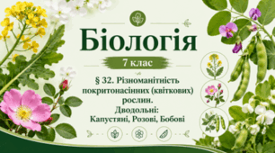 Різноманітність покритонасінних (квіткових) рослин. Дводольні: Капустяні, Розові, Бобові