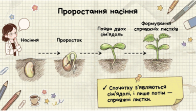 0901y8he-be5d-383x216.png
