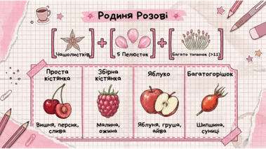 0901y8i1-6242-379x213.png