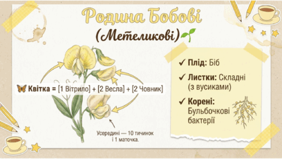 0901y8i4-97a6-408x230.png