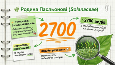0901y9c7-9c57-380x214.png