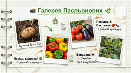 0901y9cf-a7f6-424x239.png