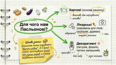 0901y9cm-6c82-385x217.png