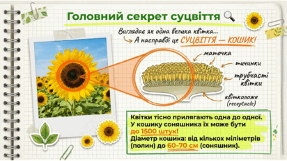 0901y9cw-19d7-412x232.png