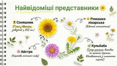 0901y9dd-a735-378x213.png