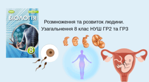 Розмноження та розвиток людини. Узагальнення 8 клас НУШ ГР2 та ГР3