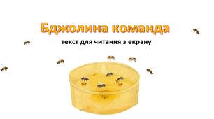 "Бджолина команда" Історія для голосного читання