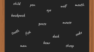Irregular Plural Detective