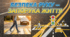 Тиждень безпеки дорожнього руху
