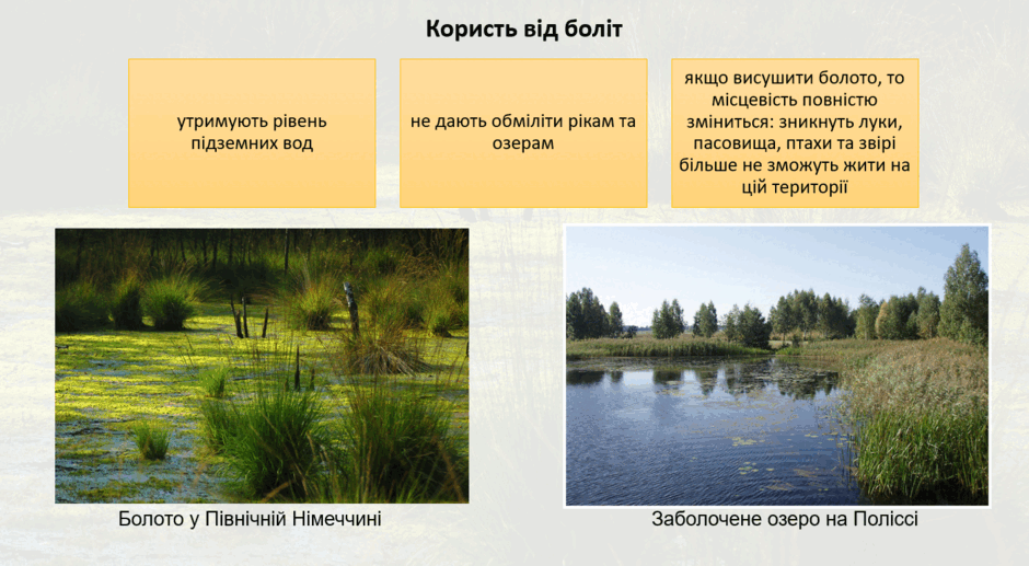 0901ygpv-8041-940x517.png
