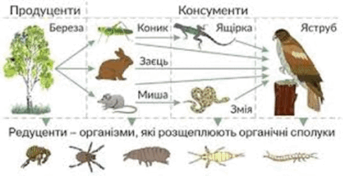 https://naurok.com.ua/uploads/files/3157795/484698/544962_html/images/484698%2015.png