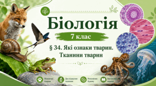 Які ознаки тварин. Тканини тварин. 7 клас НУШ