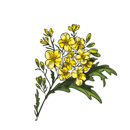 0901yig3-e11d-450x450.png