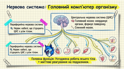 0901yivt-2ddc-397x223.png