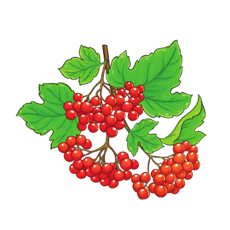 0901yjc0-aa5f-450x450.png