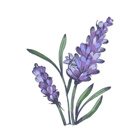 0901yjey-d8af-450x450.png