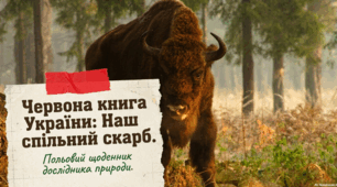 Історія та еволюція Червоної книги України