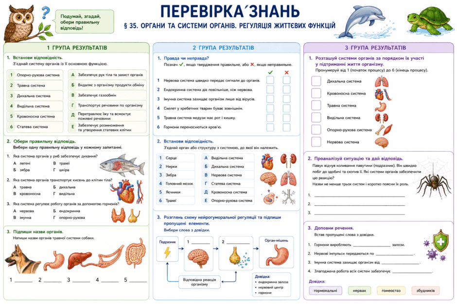 0901ylit-ed80-940x627.png