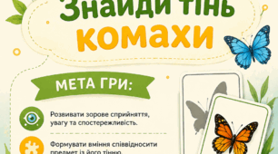 Дидактична гра «Знайди тінь комахи»