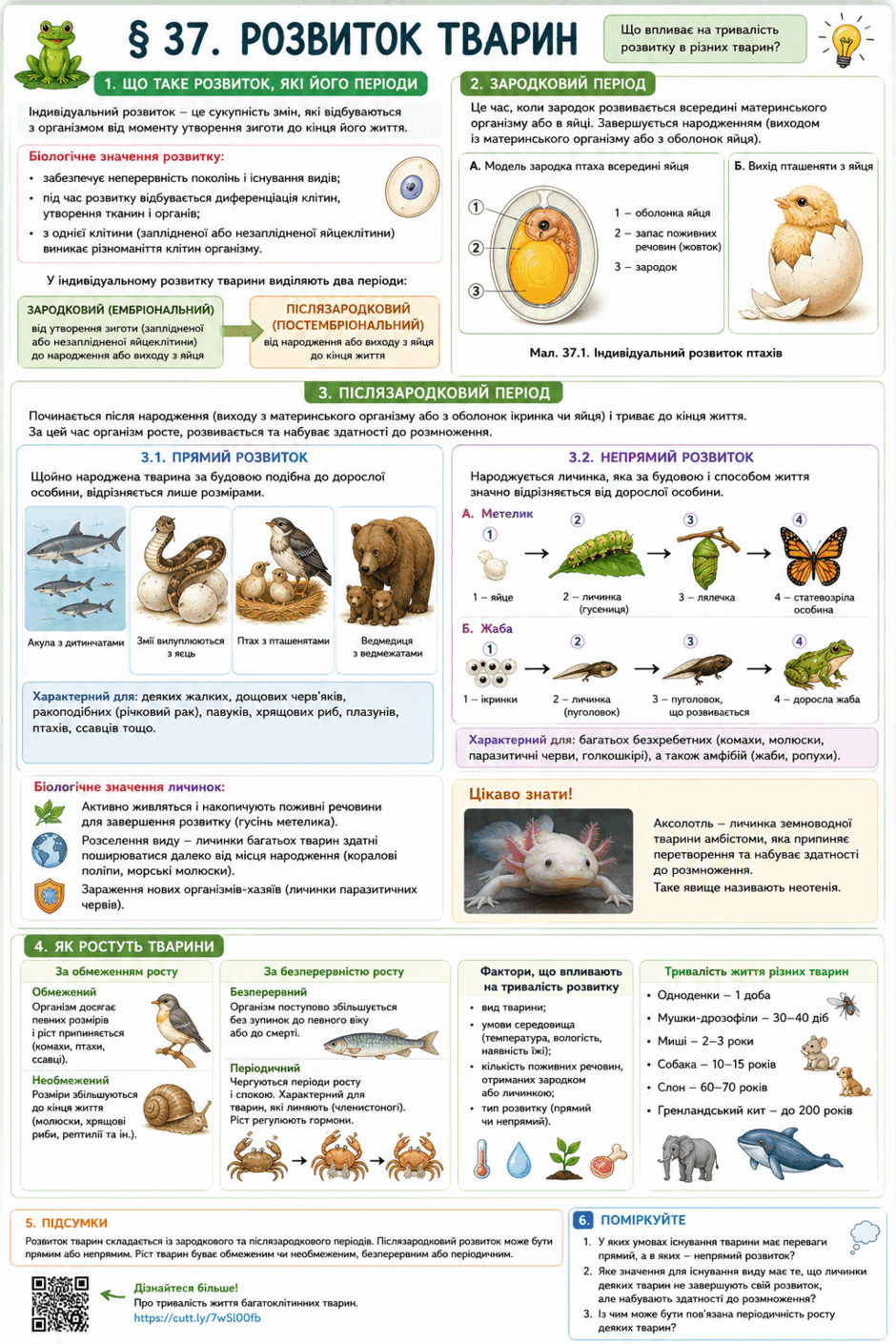 0901ymql-3043-940x1410.png