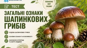 Шапинкові гриби