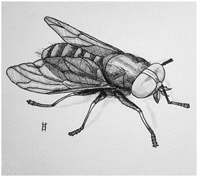 0901yrx7-c95f-287x257.png