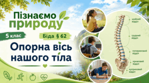 Презентація "Опорна вісь нашого тіла." 5 клас НУШ