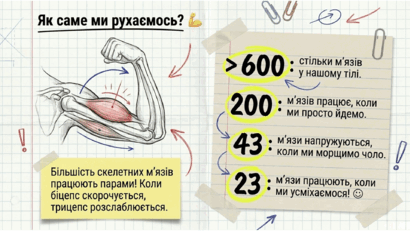 0901yvod-2f95-410x231.png