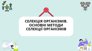 🧬 Презентація для 11 класу📚 «Селекція організмів. Основні методи селекції організмів»