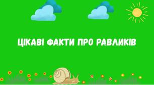 Цікаві факти про равликів