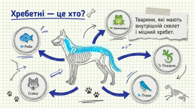 0901yzyc-f126-397x223.png