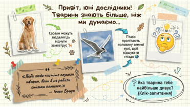 0901z0hb-20d6-371x209.png