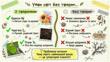 0901z0hk-826a-380x214.png