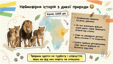 0901z0it-b024-380x214.png