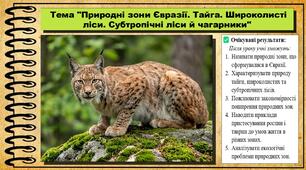 Природні зони Євразії. Тайга. Широколисті ліси. Субтропічні ліси й чагарники. Географія. 7 клас. До підручника Кобернік С. та ін.