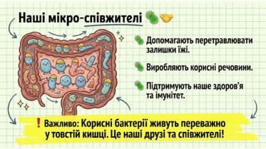 0901z0ox-6ed1-373x210.png