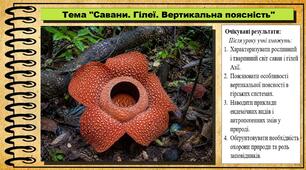 Савани. Гілеї. Вертикальна поясність. Географія. 7 клас. До підручника Кобернік С. та ін.