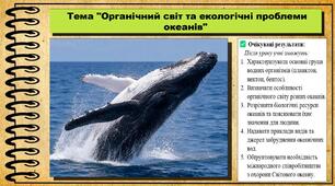 Органічний світ та екологічні проблеми океанів. Географія. 7 клас. До підручника Кобернік С. та ін.