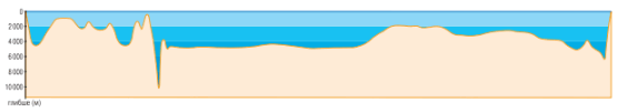 0901z1qt-fd97-564x101.png