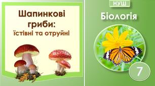 Шапинкові гриби: їстівні та отруйні. Біологія 7 клас НУШ.