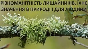 Презентація до уроку: "РІЗНОМАНІТНІСТЬ ЛИШАЙНИКІВ, ЇХНЄ ЗНАЧЕННЯ В ПРИРОДІ І ДЛЯ ЛЮДИНИ"