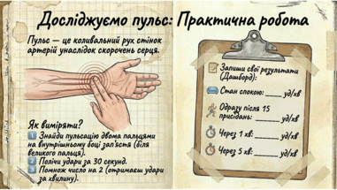 0901z2d9-8869-381x215.png