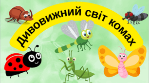 "Дивовижний світ комах"