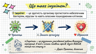 0901z2kk-e4a2-382x215.png